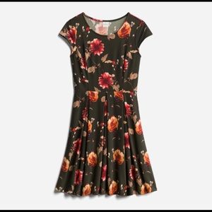 Olive Kaleigh Sonora Brushed Knit Dress